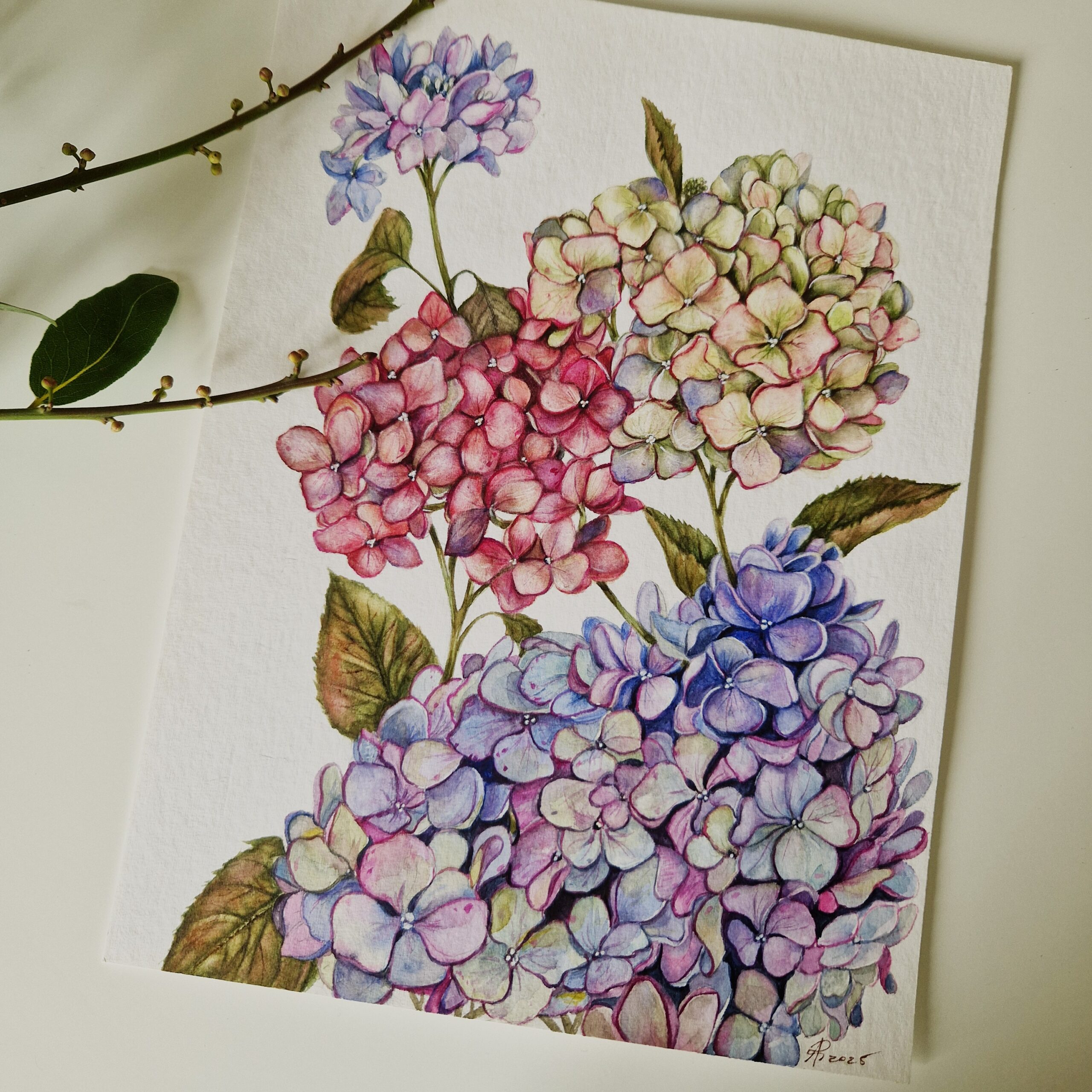 Ilustratie #1001