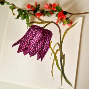 Ilustratie #1018