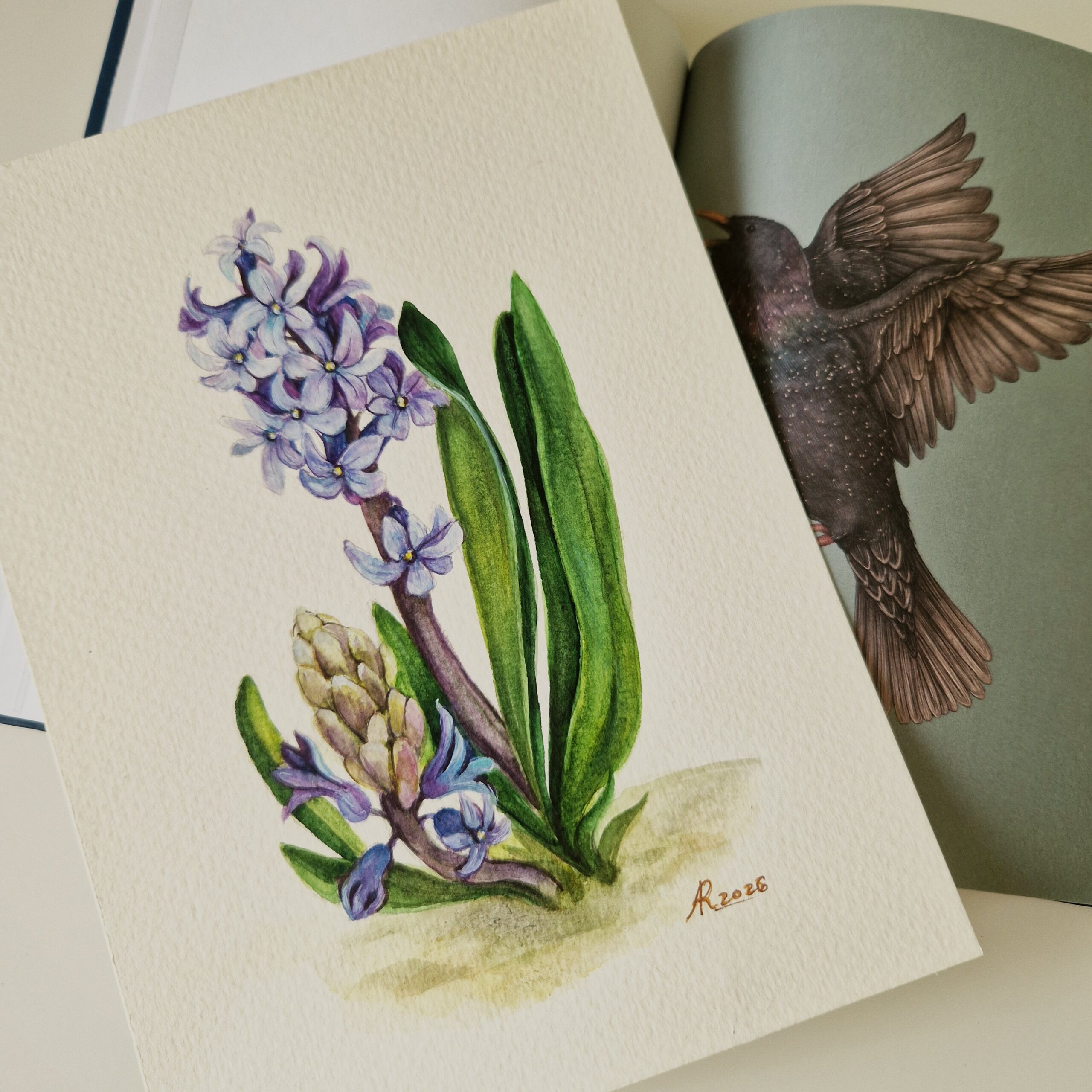 Ilustratie #1039