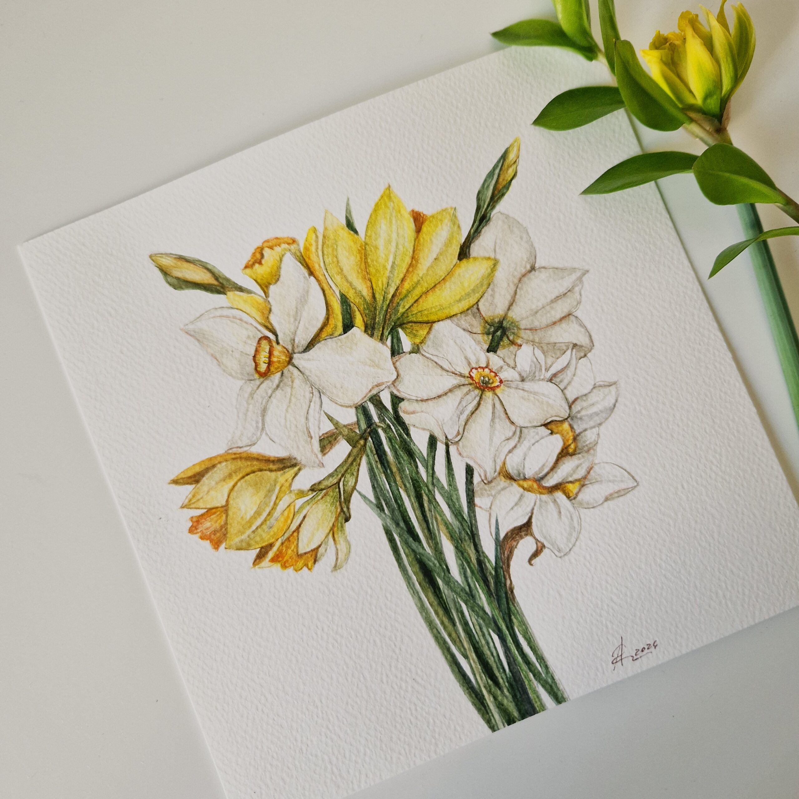 Ilustratie #1055