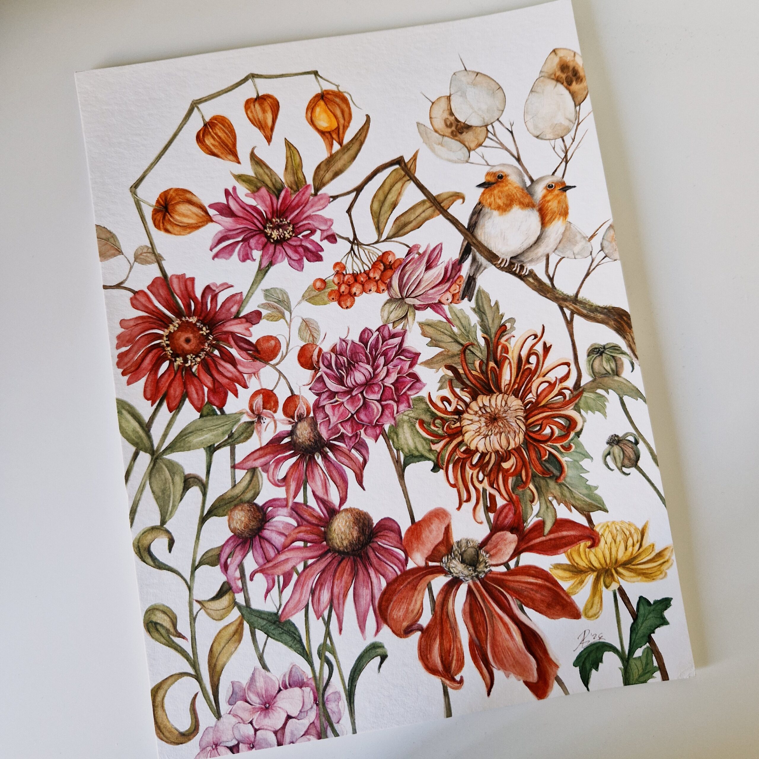Ilustratie #1080