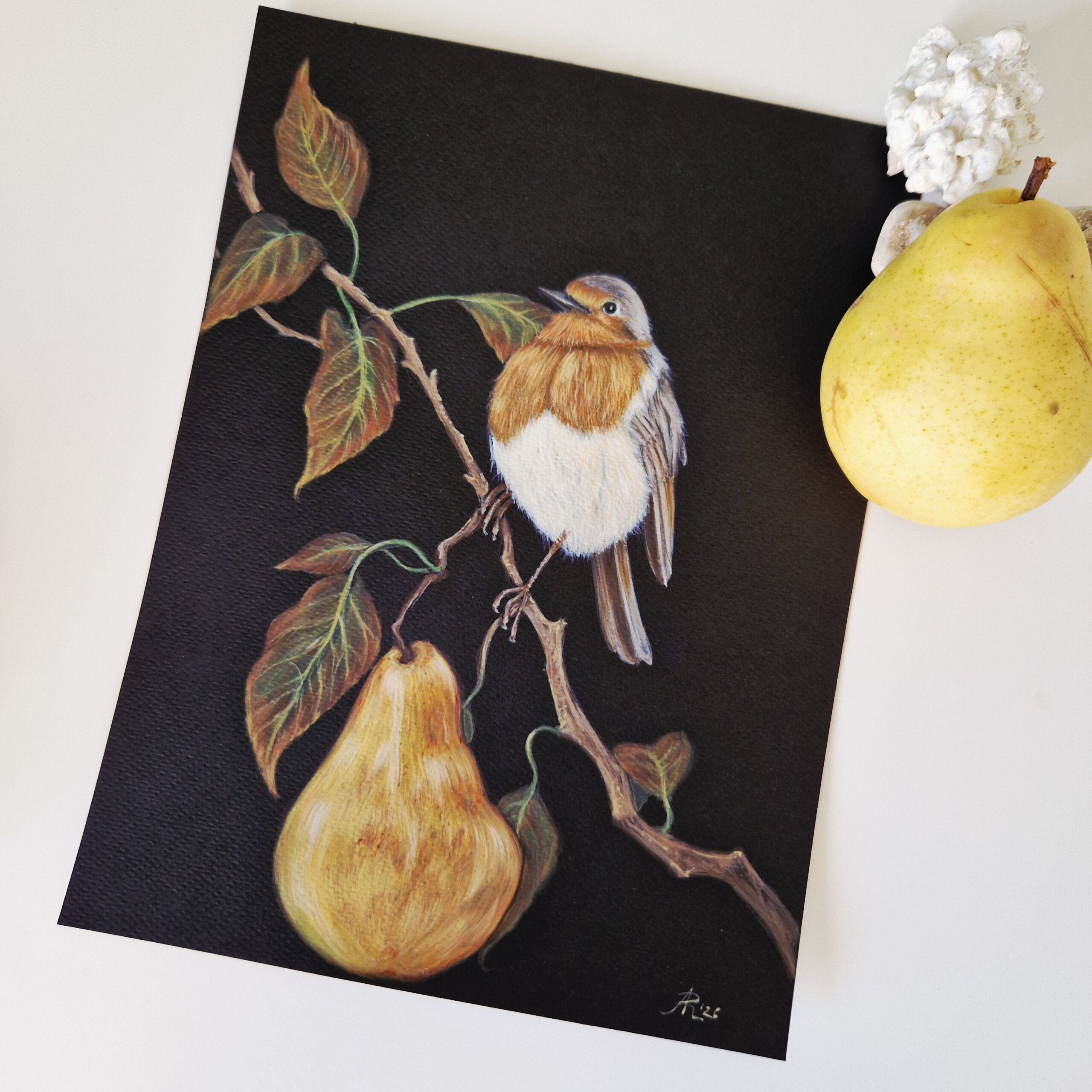 Ilustratie #1084