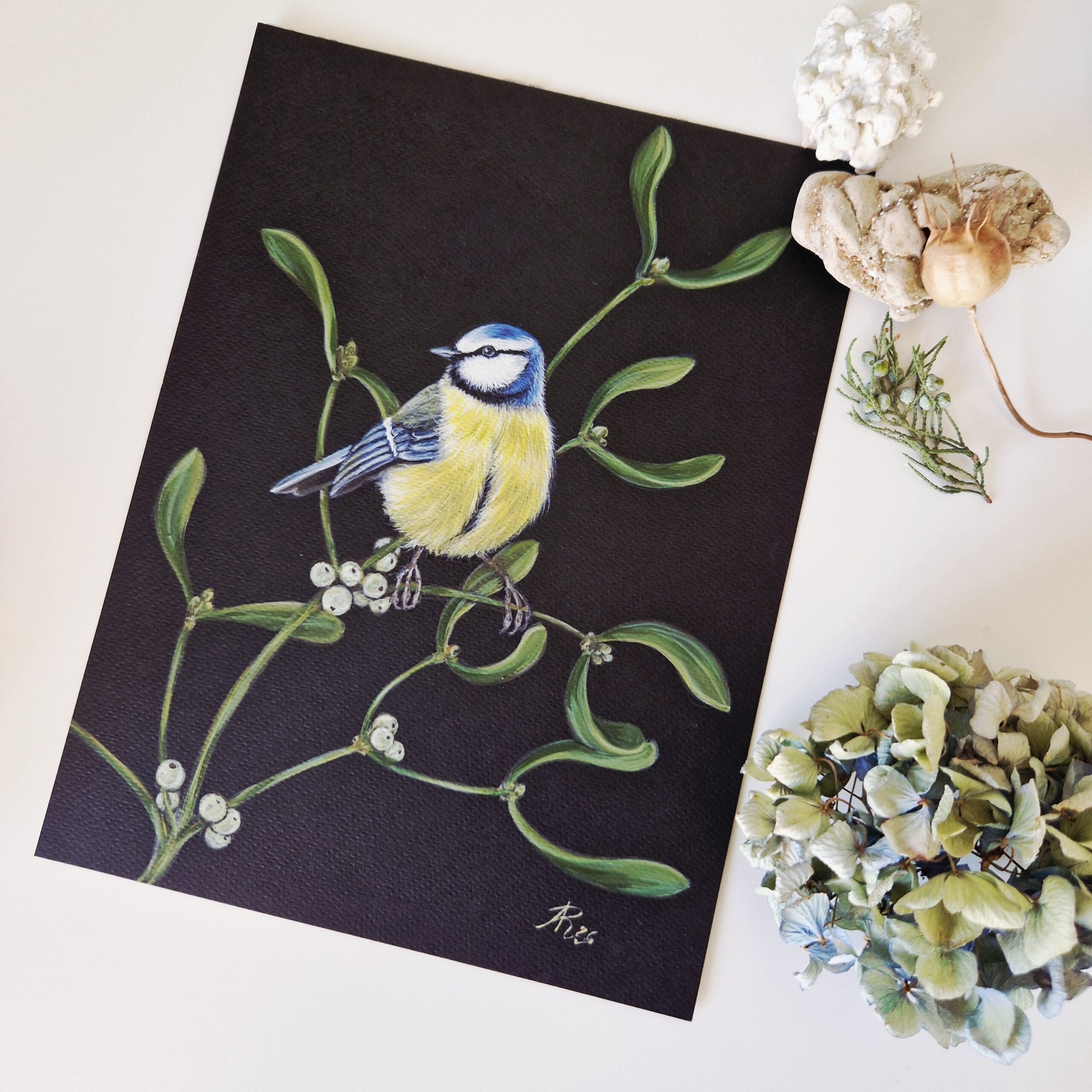Ilustratie #1085